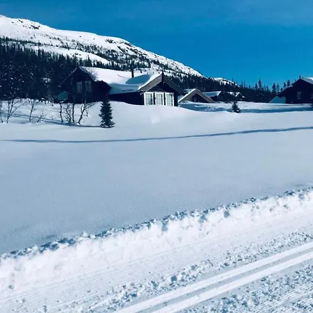 Moderne Og Ut Med Magisk Lägenhet