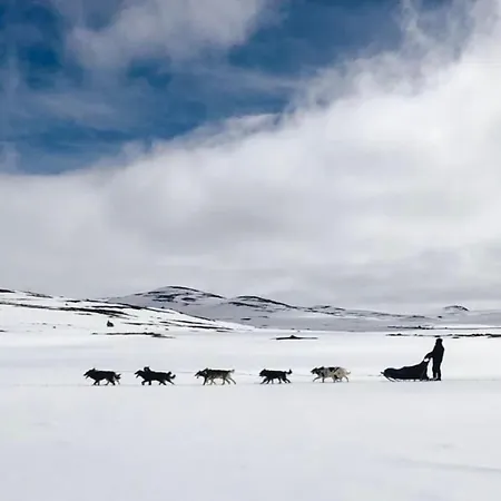Moderne Og Ut Med Magisk Lägenhet