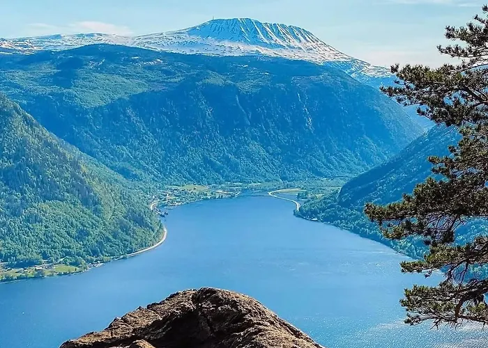 Moderne Og Ut Med Magisk * Lii