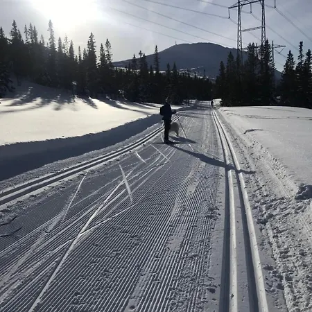 Moderne Og Ut Med Magisk
