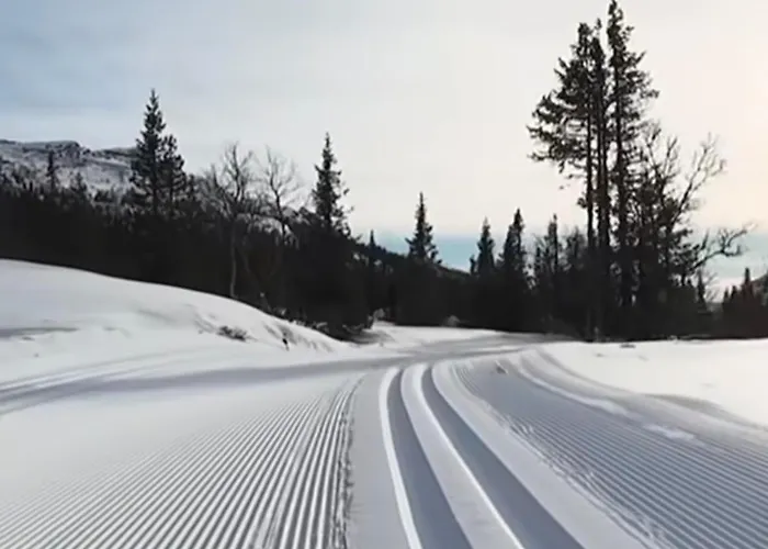 Moderne Og Ut Med Magisk